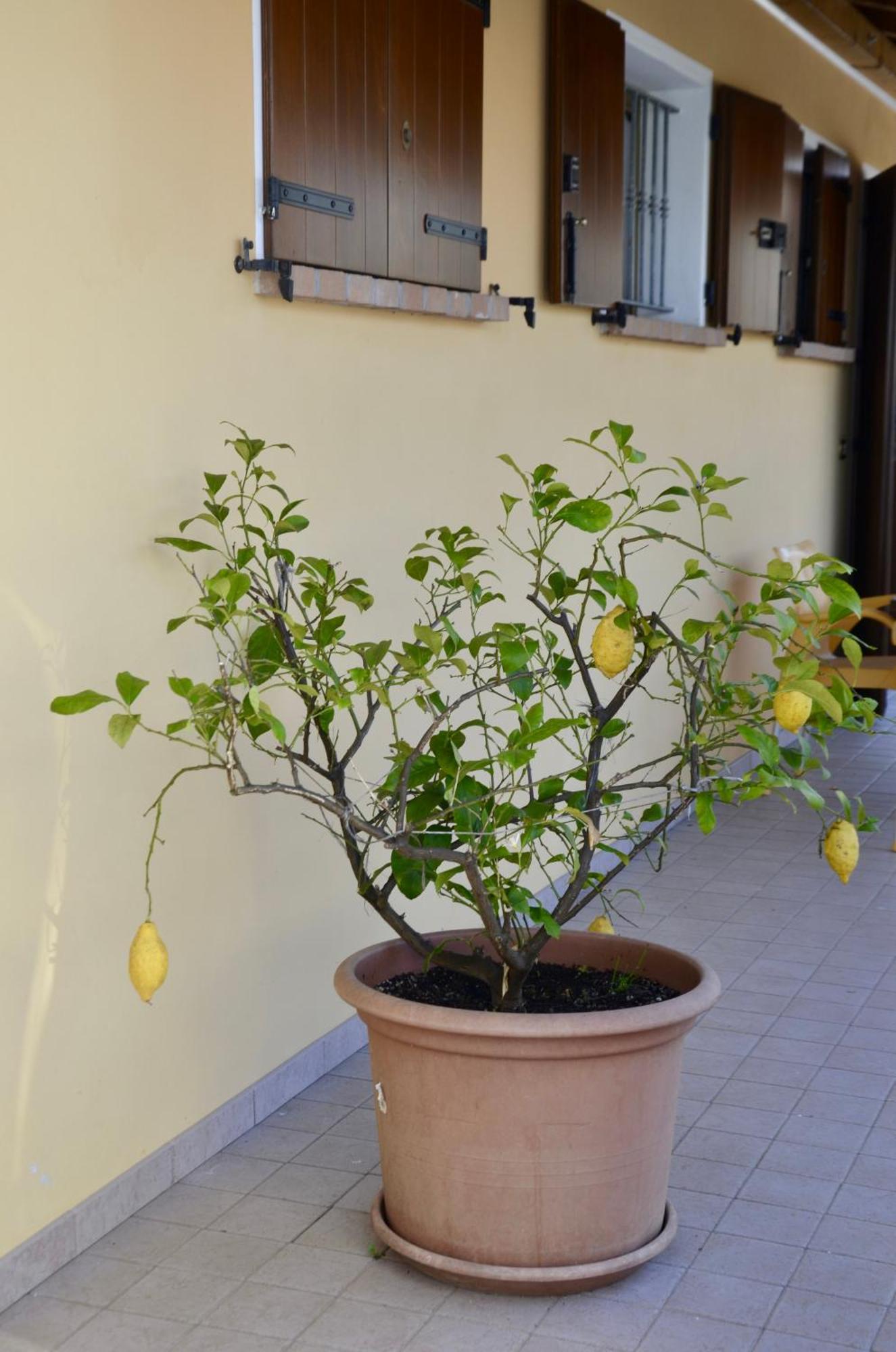 A Casa Di Amici Vidor Exterior foto